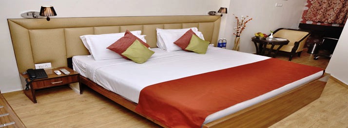 1757/Hotel SDC Pride - Jaipur 13.jpg